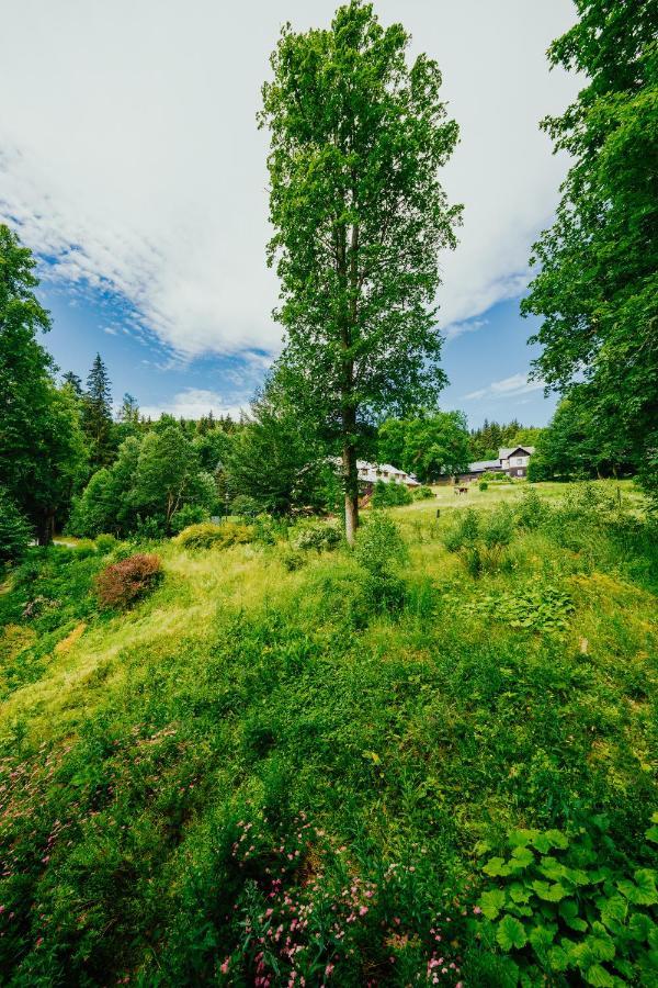 Apartman U Vlka - Hubertus, Karlova Studanka Luaran gambar